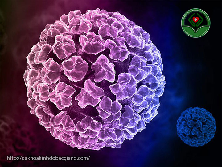 Sùi mào gà do vi rút HPV