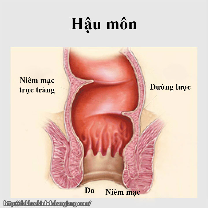 hau-mon