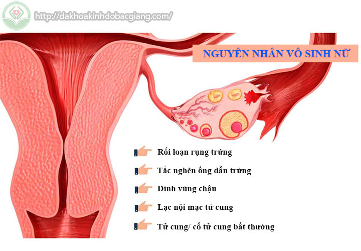 nguyen-nhan-vo-sinh-nu