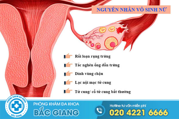 vo-sinh-la-gi-dia-chi-chua-vo-sinh-uy-tin