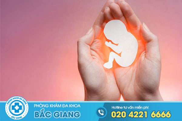 bat-mi-dia-chi-pha-thai-an-toan-hien-nay