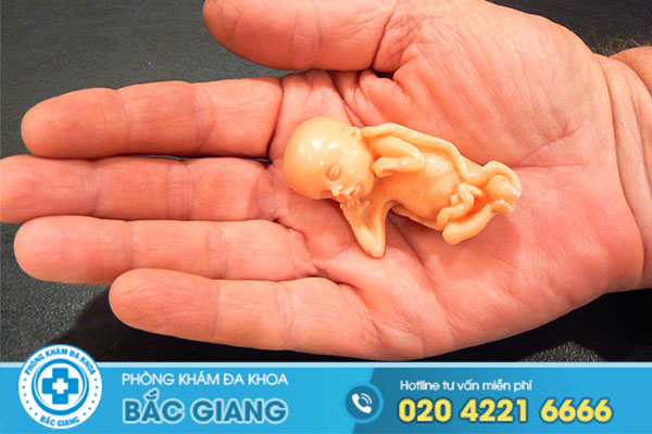 bat-mi-dia-chi-pha-thai-an-toan-hien-nay