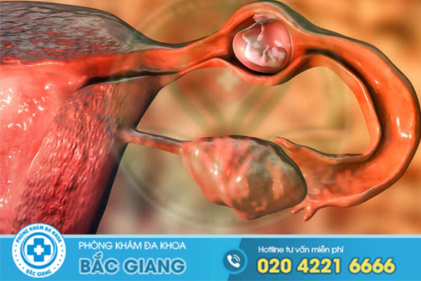 chia-se-chi-phi-hut-thai-moi-nhat