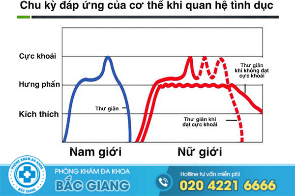 chu-ky-phan-ung-tinh-duc-qua-trinh-quan-he