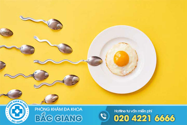 tinh-trung-von-cuc-phuong-phap-dieu-tri