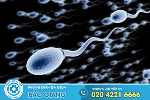 tinh-trung-von-cuc-phuong-phap-dieu-tri