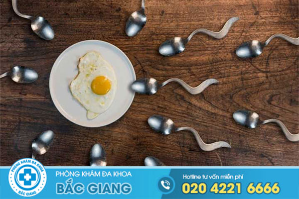 tinh-trung-von-cuc-phuong-phap-dieu-tri